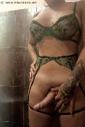 Foto Hot Luce Trans Arezzo 393 2947731 - 2
