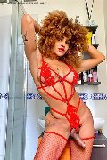 Foto Hot Stella Ricci Trans Rimini 329 5563971 - 5