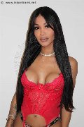 Foto Mikaella Pimentell Pornostar Transescort Roma 329 3410689 - 4