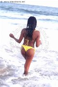 Foto Naomy Xl Trans Bologna 329 0167932 - 135