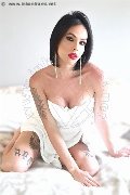 Foto Nick Miller Trans Verona 338 2945956 - 86