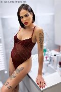 Foto Nick Miller Trans Verona 338 2945956 - 62