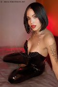 Foto Nick Miller Trans Verona 338 2945956 - 21
