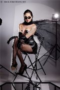 Foto Nick Miller Trans Verona 338 2945956 - 40