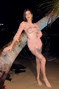 Foto Nick Miller Transescort Verona 338 2945956 - 86