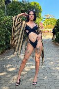 Foto Nick Miller Transescort Verona 338 2945956 - 87