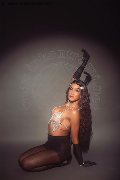 Foto Nicole Andrade Trans Milano 329 8948041 - 192