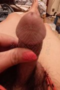  Trans Escort Ladyboy Carlina 350 95 76 839 foto selfie 6