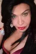 Prato Trans Tain� Oliveira 328 53 82 487 foto selfie 153