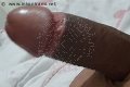 Prato Trans Tain� Oliveira 328 53 82 487 foto selfie 173