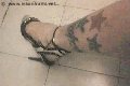 Foto Suzana Pantera Trans Alessandria 392 9724965 - 57