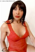 Foto Tain� Oliveira Trans Prato 328 5382487 - 49