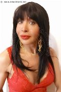 Foto Tain� Oliveira Trans Prato 328 5382487 - 52