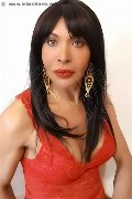 Foto Tain� Oliveira Trans Prato 328 5382487 - 51