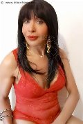 Foto Tain� Oliveira Trans Prato 328 5382487 - 50