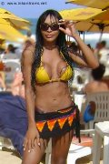 Foto Tain� Oliveira Trans Prato 328 5382487 - 54