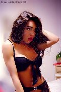 Foto Tain� Oliveira Trans Prato 328 5382487 - 26