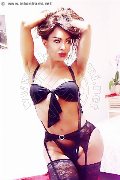 Foto Tain� Oliveira Trans Prato 328 5382487 - 25