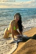 Foto Tain� Oliveira Trans Prato 328 5382487 - 1