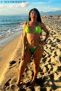 Foto Tain� Oliveira Trans Prato 328 5382487 - 6