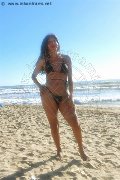 Foto Tain� Oliveira Trans Prato 328 5382487 - 7