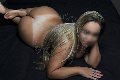 Foto Virginia Girl Siena 353 3166427 - 17
